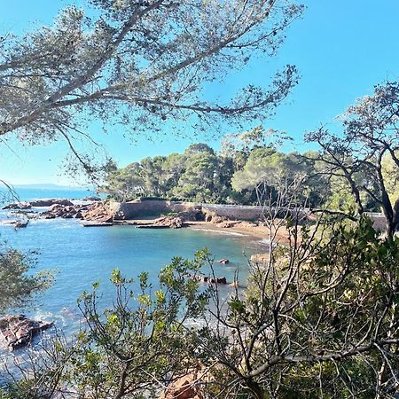2 Pieces Saint Raphael Renove, Classe 4 Etoiles, 100 M Plages, Piscine, Tennis, Parc, Terrasse, Jardin Privatif Exteriör bild