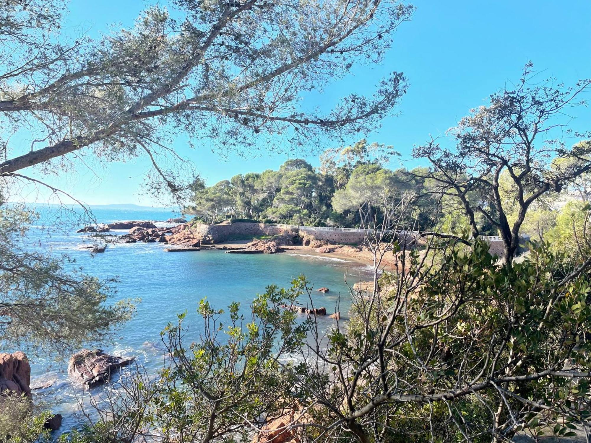 2 Pieces Saint Raphael Renove, Classe 4 Etoiles, 100 M Plages, Piscine, Tennis, Parc, Terrasse, Jardin Privatif Exteriör bild